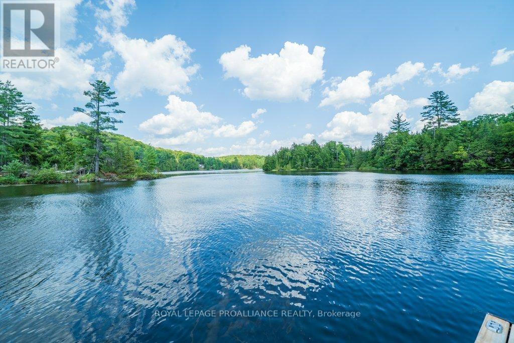 1053c Granite Terrace Lane, North Frontenac, Ontario  K0H 2J0 - Photo 46 - X12350623