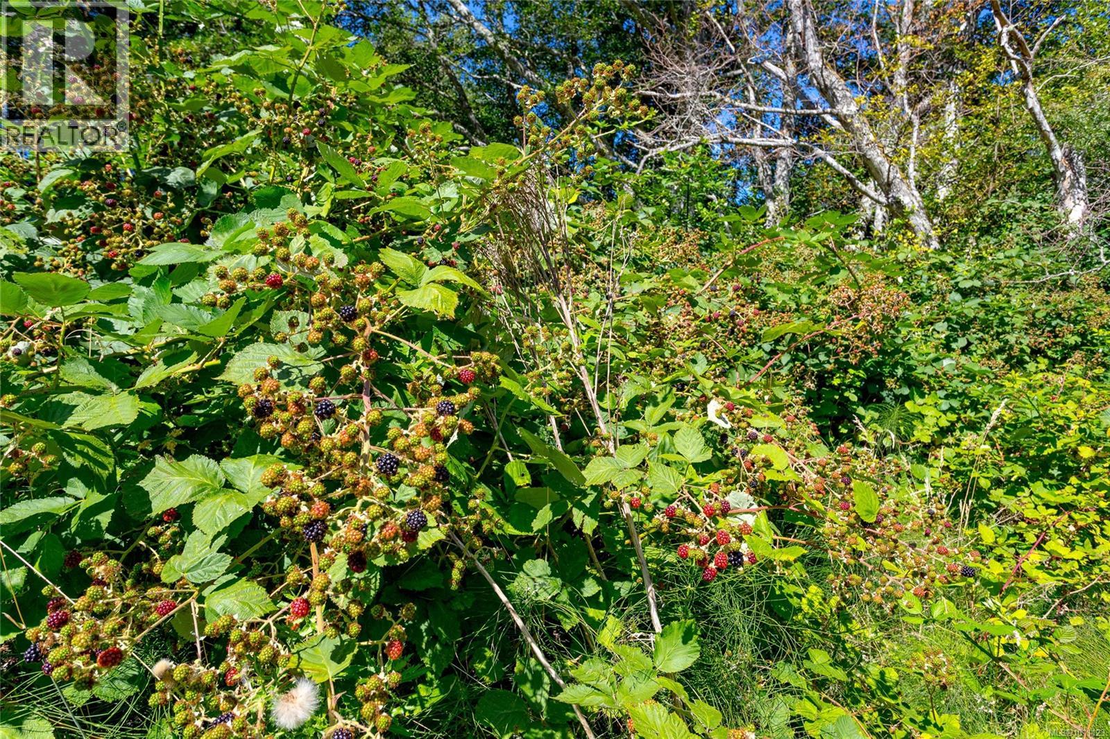 681 Lombard Dr, Metchosin, British Columbia  V9C 3Y9 - Photo 41 - 1011123