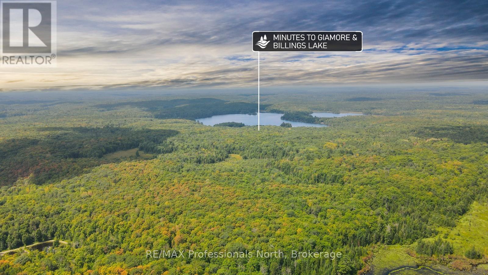 0 Glamor Lake Road, Highlands East, Ontario  K0M 1R0 - Photo 2 - X12350777
