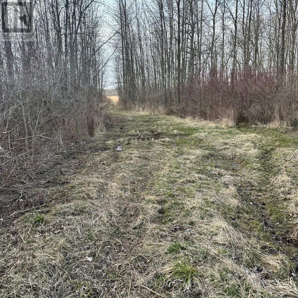 68 3rd Concession Road, Frontenac Islands, Ontario  K0H 2S0 - Photo 3 - X12350363