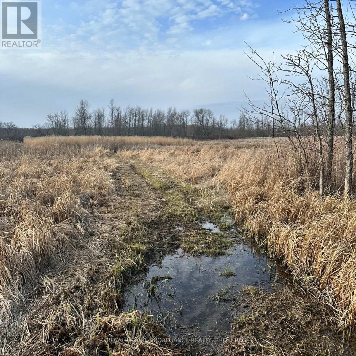 68 3rd Concession Road, Frontenac Islands, Ontario  K0H 2S0 - Photo 6 - X12350363