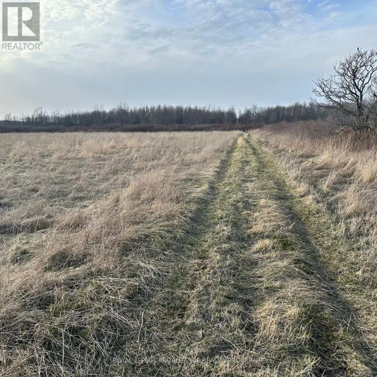 68 3rd Concession Road, Frontenac Islands, Ontario  K0H 2S0 - Photo 2 - X12350363