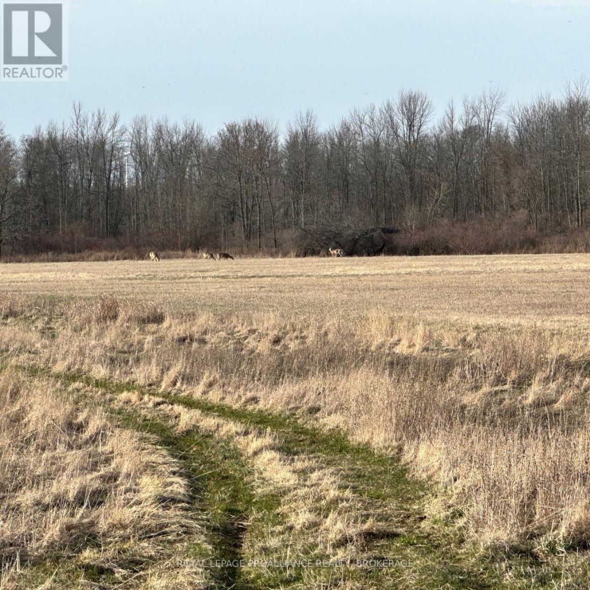 68 3rd Concession Road, Frontenac Islands, Ontario  K0H 2S0 - Photo 4 - X12350363