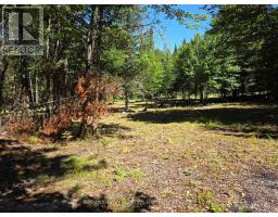 00 WHITNEY ROAD, Perry, Ontario