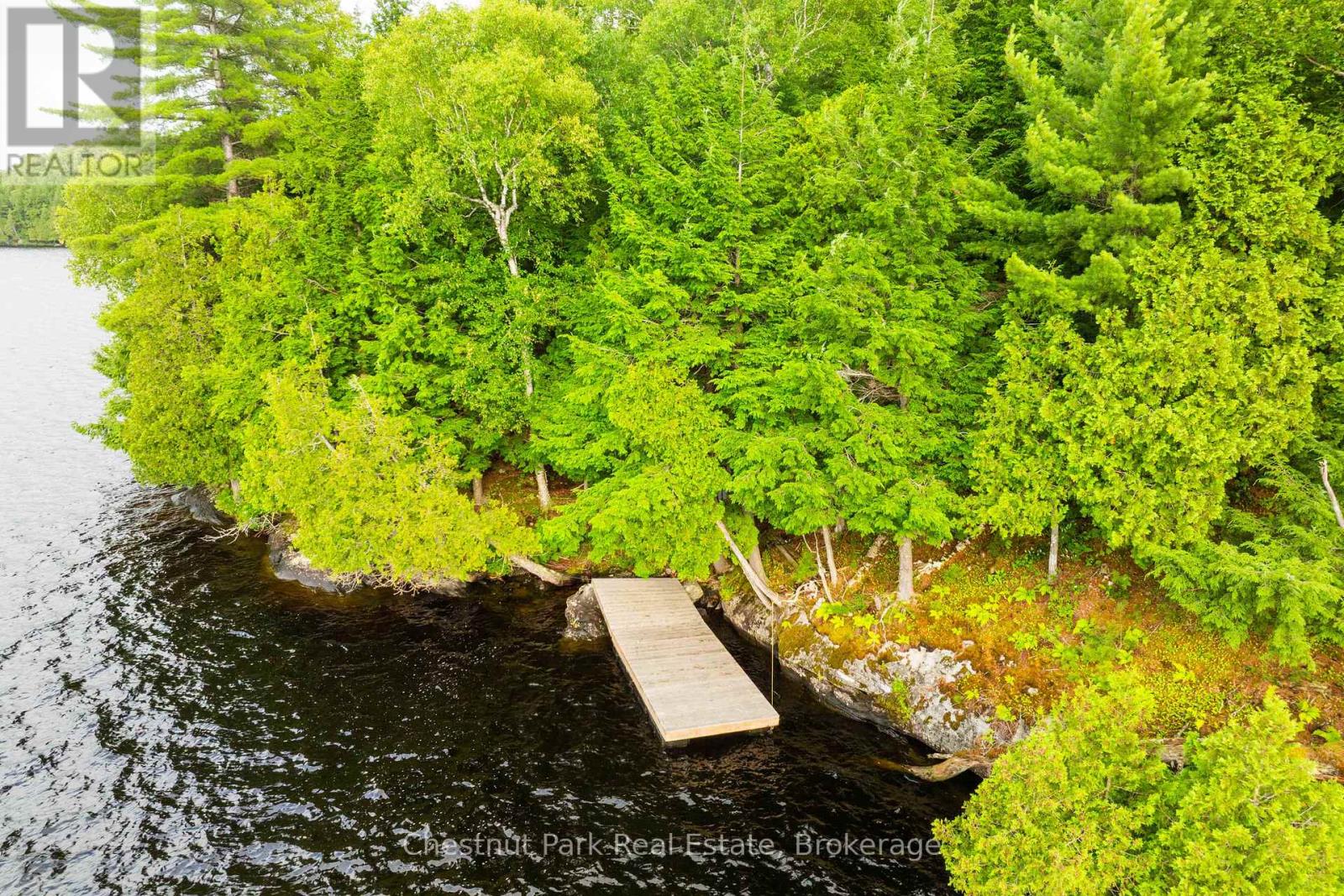 920 Big Island, Huntsville, Ontario P1H 2J2 - Photo 12 - X12318319