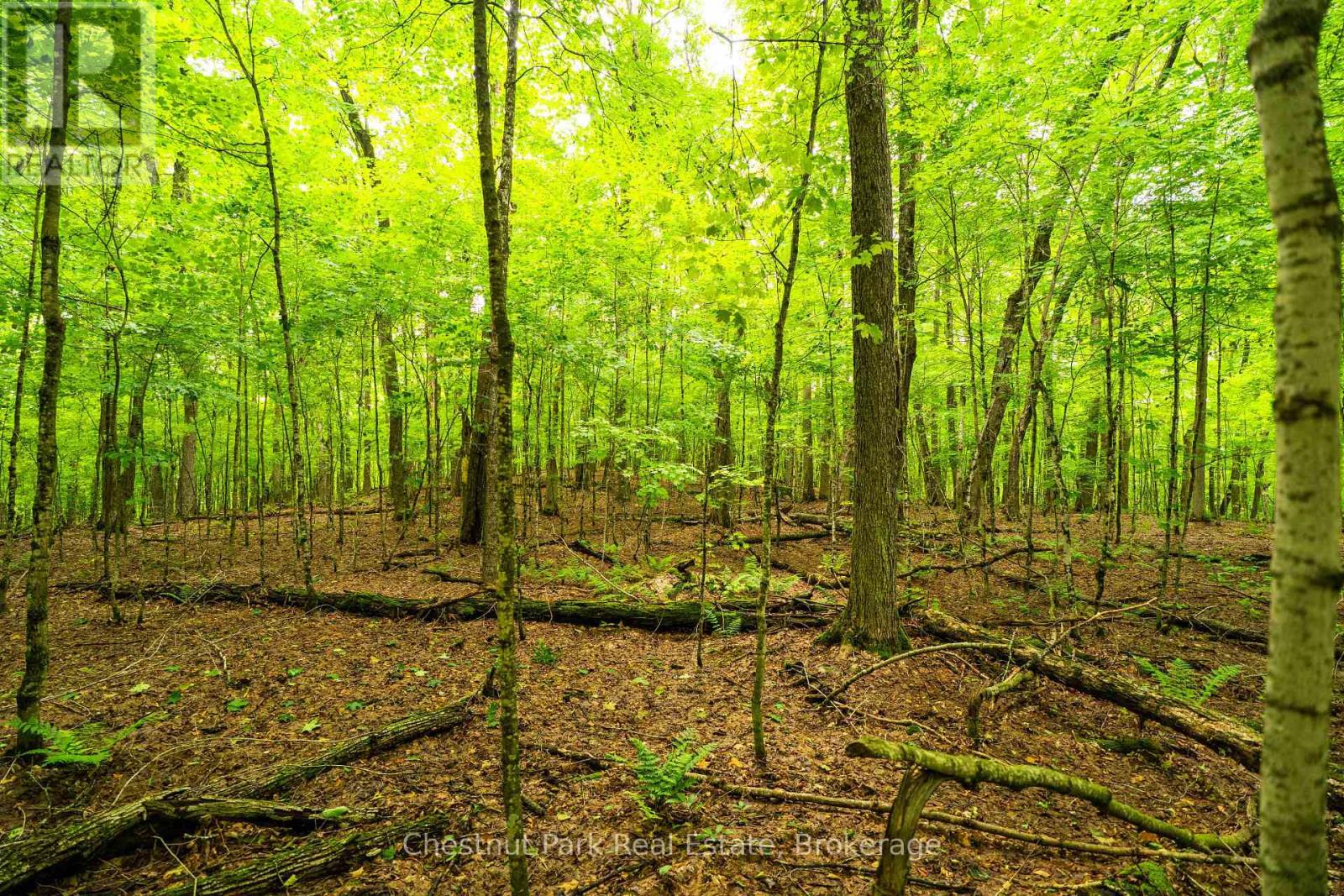 920 Big Island, Huntsville, Ontario P1H 2J2 - Photo 18 - X12318319