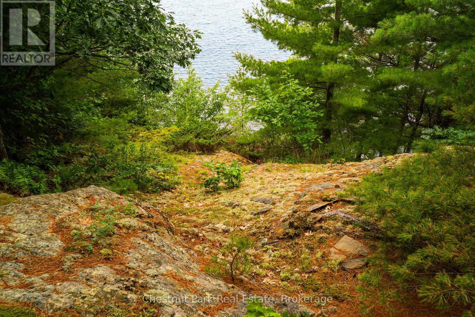 920 Big Island, Huntsville, Ontario P1H 2J2 - Photo 9 - X12318319