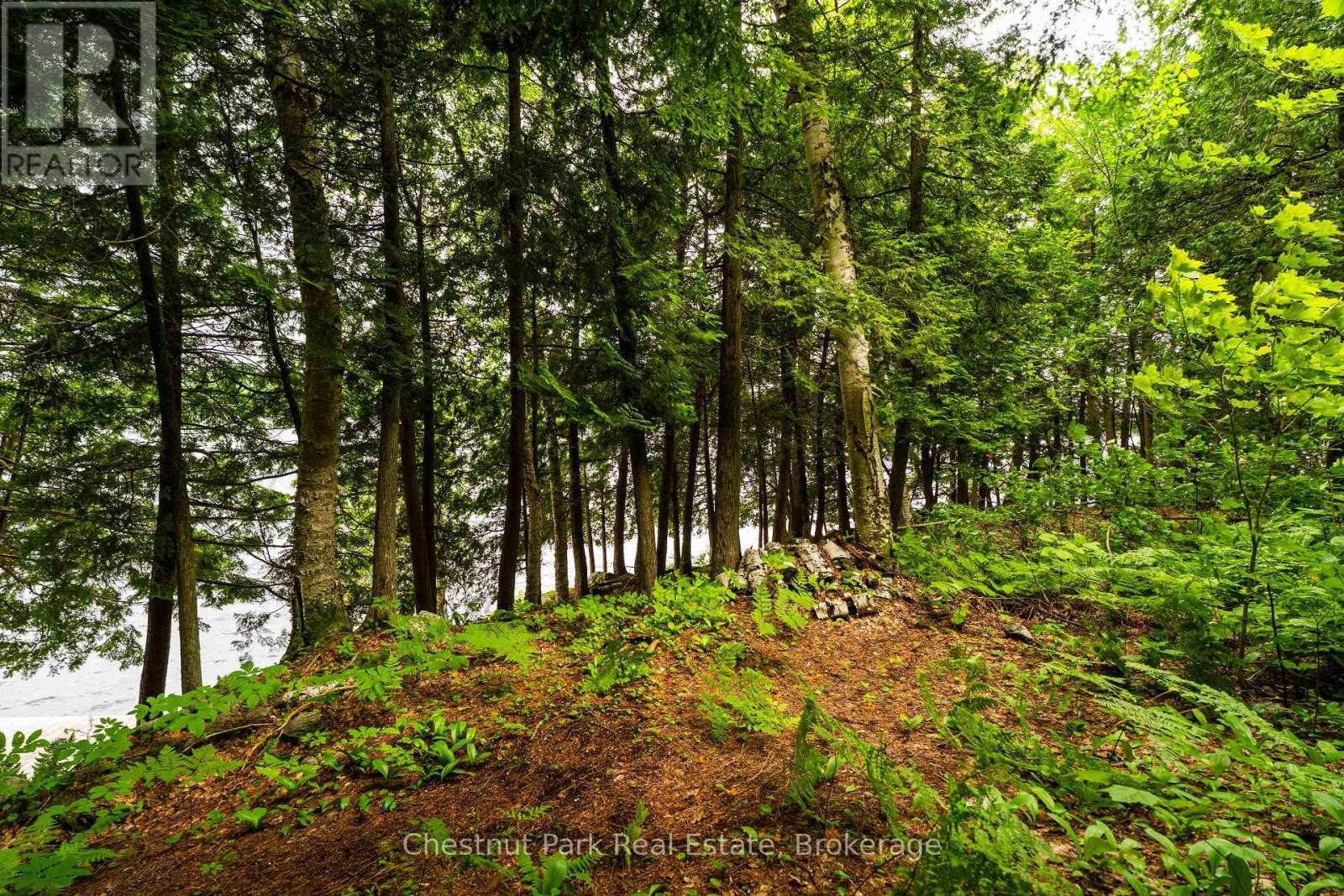 920 Big Island, Huntsville, Ontario P1H 2J2 - Photo 17 - X12318319