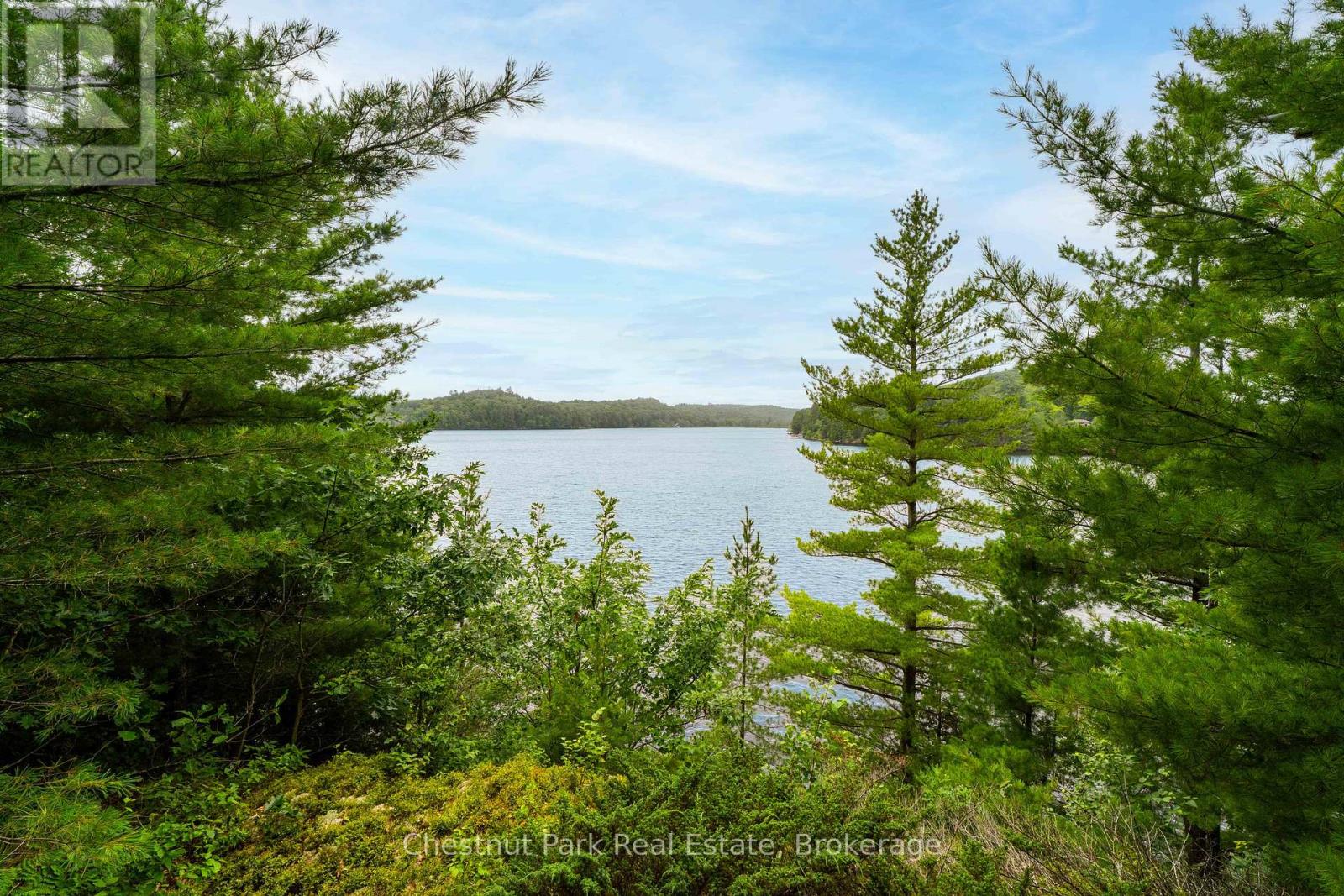 920 Big Island, Huntsville, Ontario P1H 2J2 - Photo 8 - X12318319