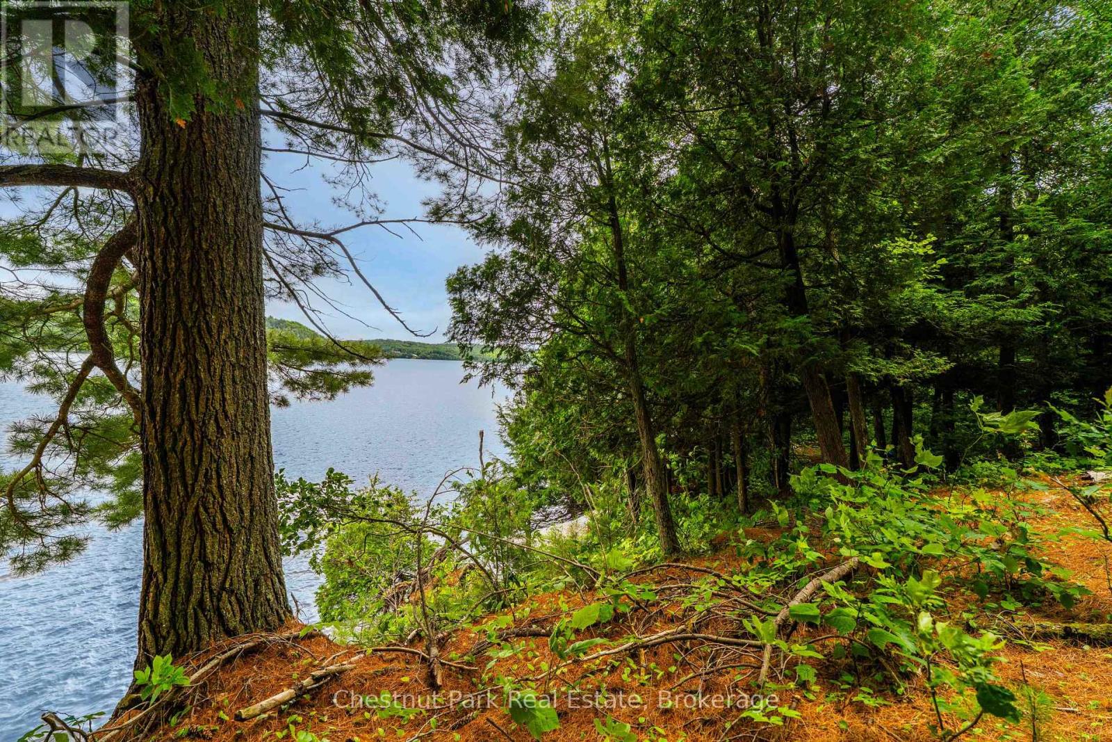 920 Big Island, Huntsville, Ontario P1H 2J2 - Photo 16 - X12318319