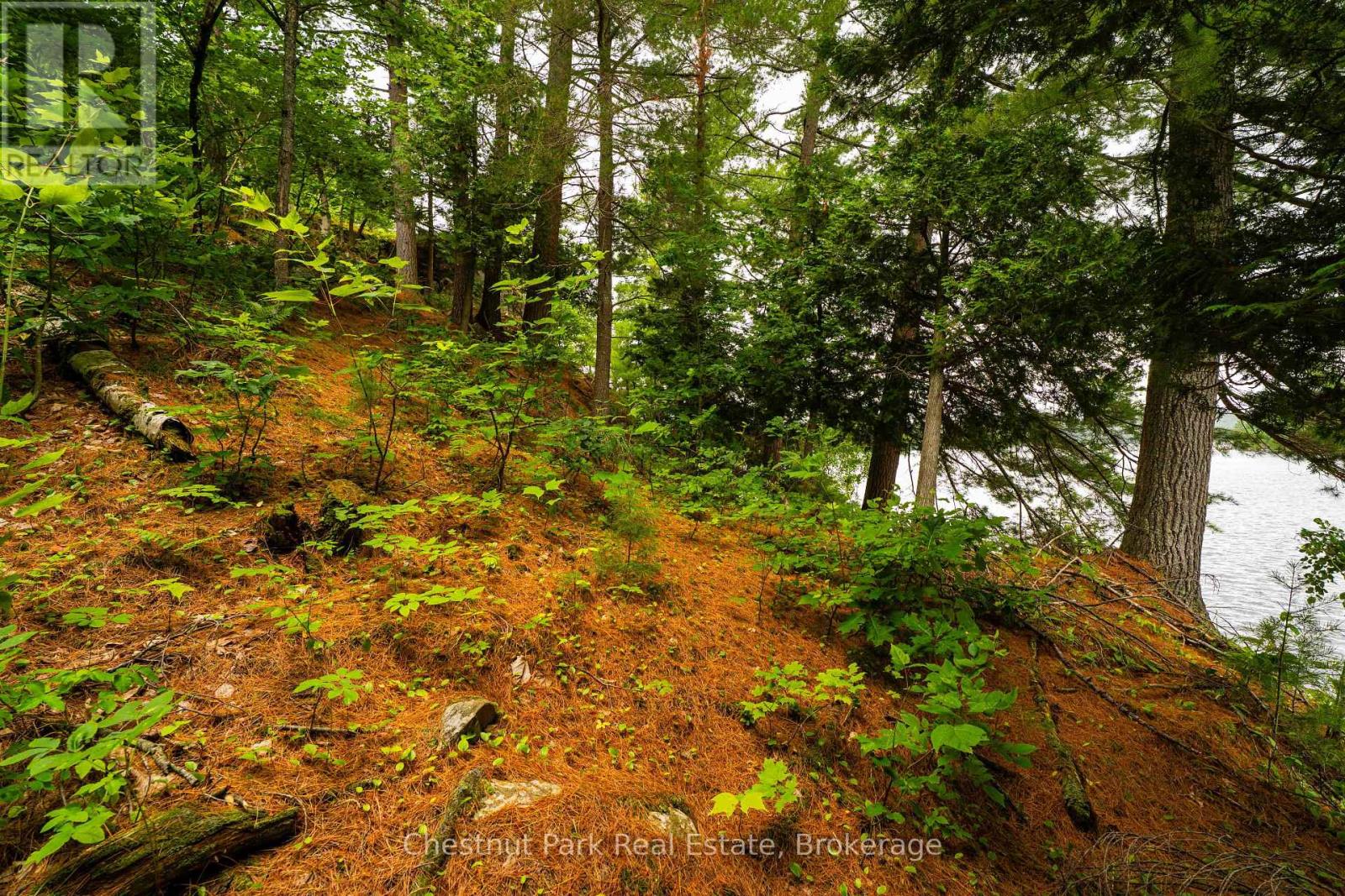 920 Big Island, Huntsville, Ontario P1H 2J2 - Photo 15 - X12318319