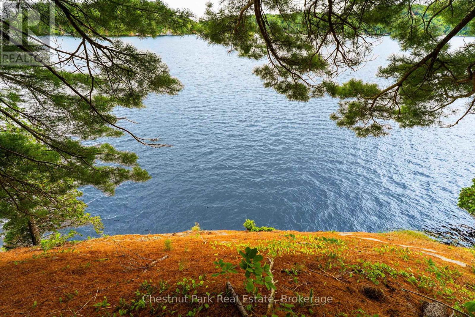 920 Big Island, Huntsville, Ontario P1H 2J2 - Photo 2 - X12318319