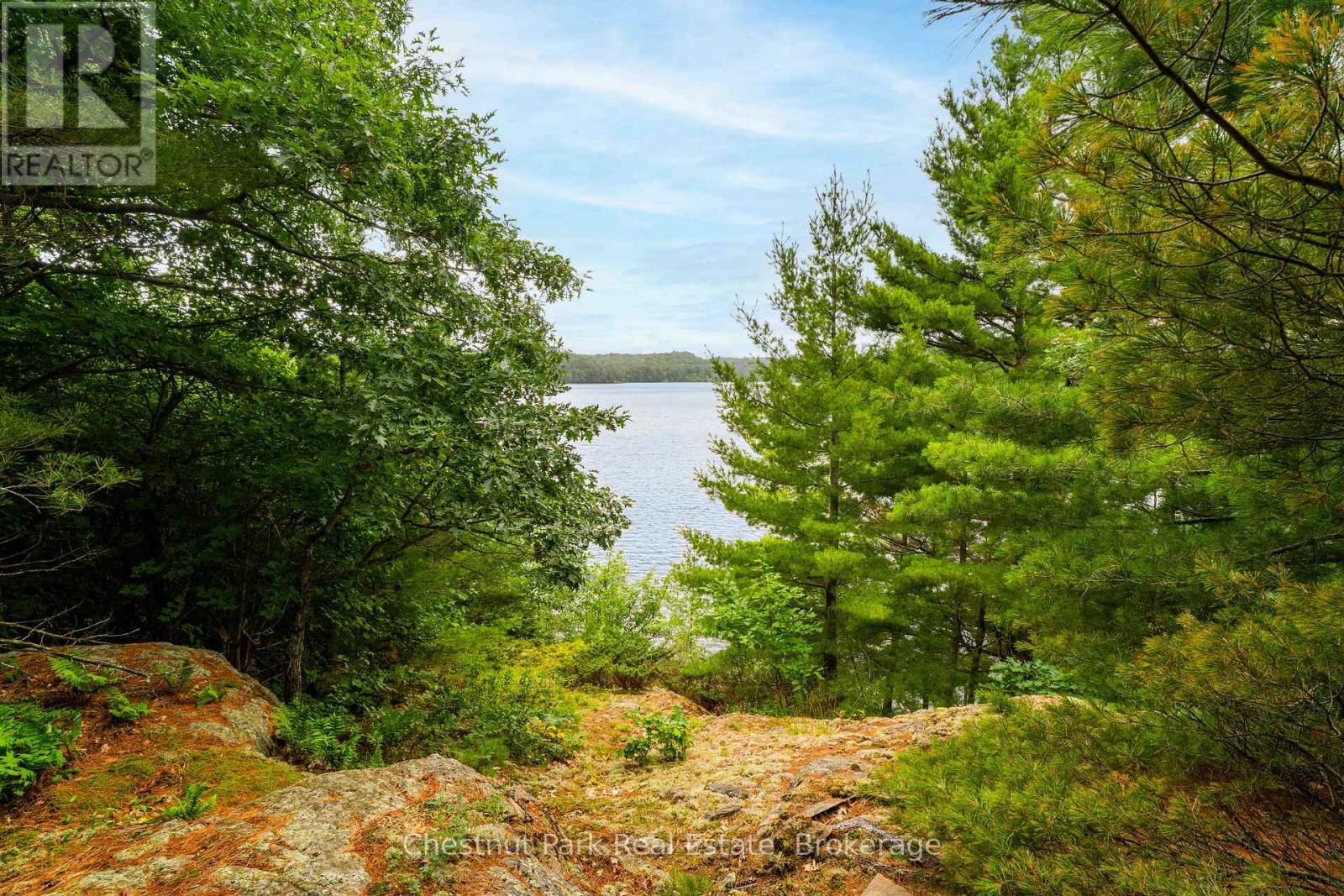 920 Big Island, Huntsville, Ontario P1H 2J2 - Photo 3 - X12318319