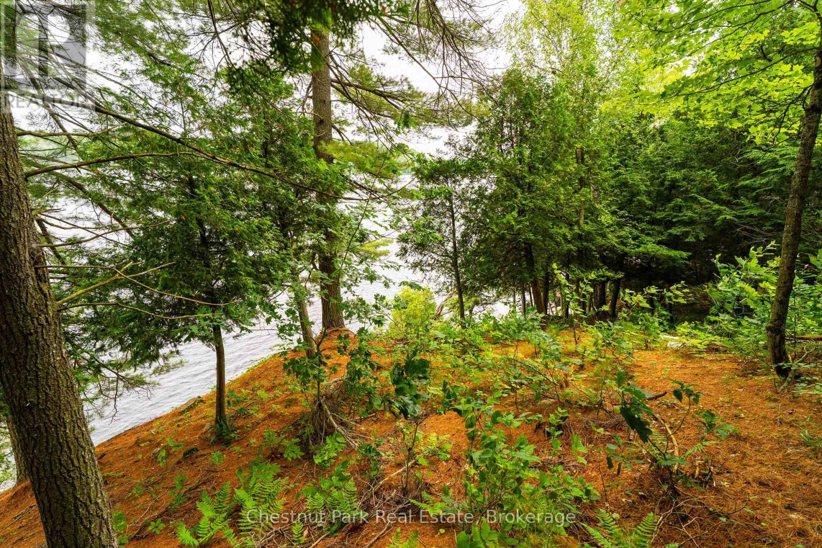 920 Big Island, Huntsville, Ontario P1H 2J2 - Photo 7 - X12318319