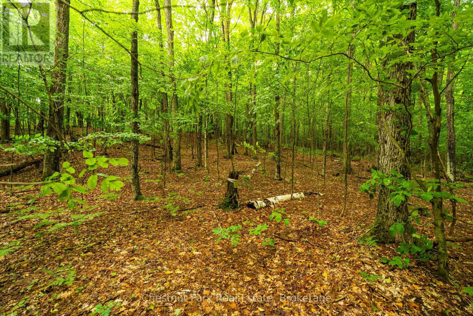 920 Big Island, Huntsville, Ontario P1H 2J2 - Photo 5 - X12318319