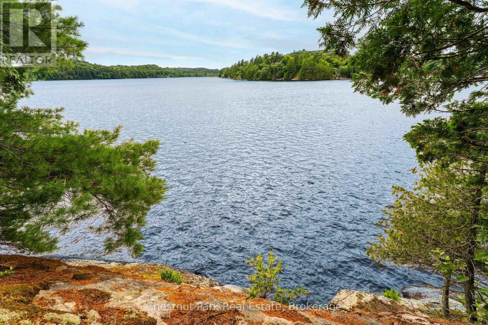 920 Big Island, Huntsville, Ontario P1H 2J2 - Photo 6 - X12318319