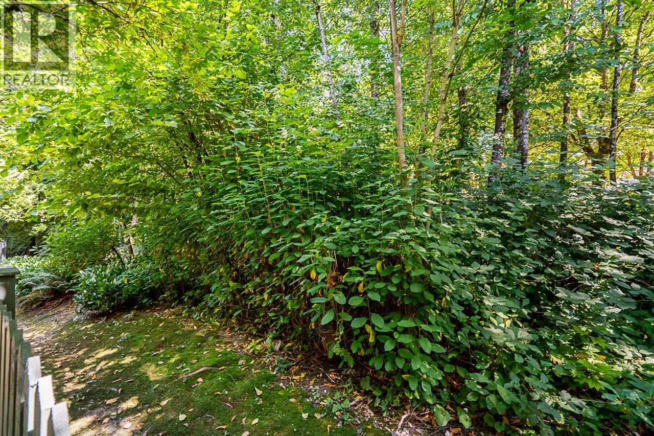 36 7465 Mulberry Place, Burnaby, British Columbia  V3N 5A1 - Photo 38 - R3038021