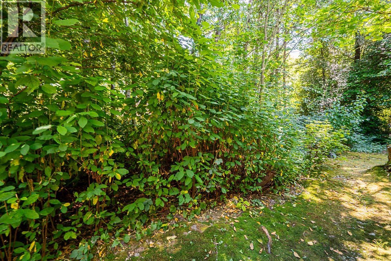 36 7465 Mulberry Place, Burnaby, British Columbia  V3N 5A1 - Photo 39 - R3038021