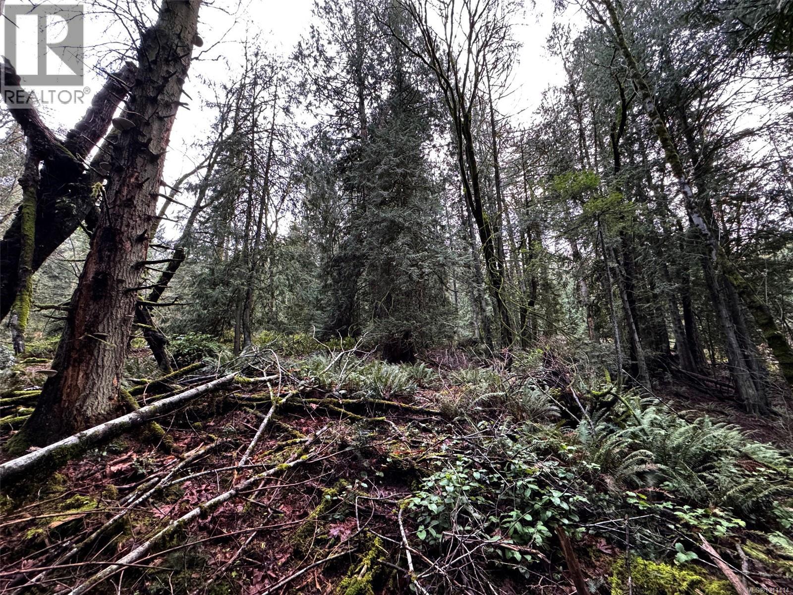 8843 Stoney Hill Rd, Duncan, British Columbia  V9L 5Y6 - Photo 13 - 1011414