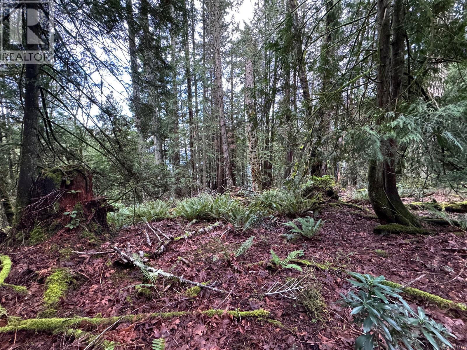 8849 Stoney Hill Rd, Duncan, British Columbia  V9L 5Y6 - Photo 11 - 1011412