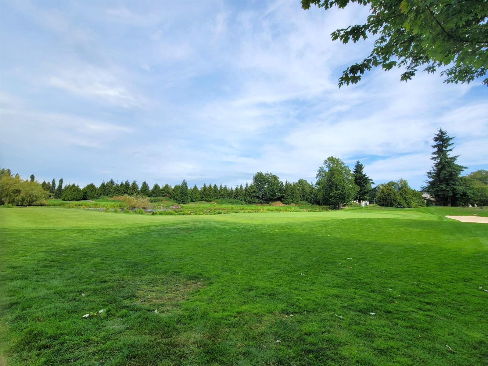 3412 Canterbury Drive, Surrey, British Columbia  V3Z 0G8 - Photo 27 - R3037845