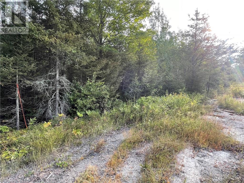 Part Lot 2 Leduc Road, West Nipissing, Ontario  P0H 1M0 - Photo 10 - X10709083