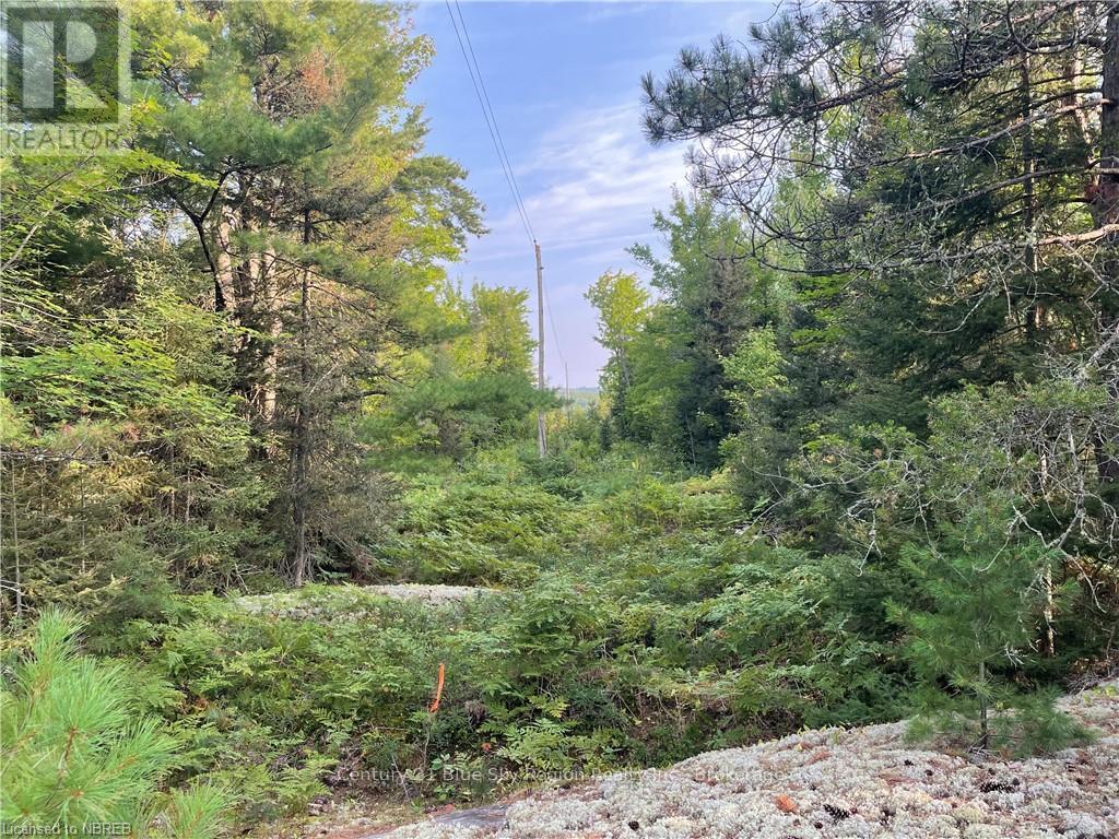 Part Lot 2 Leduc Road, West Nipissing, Ontario  P0H 1M0 - Photo 14 - X10709083