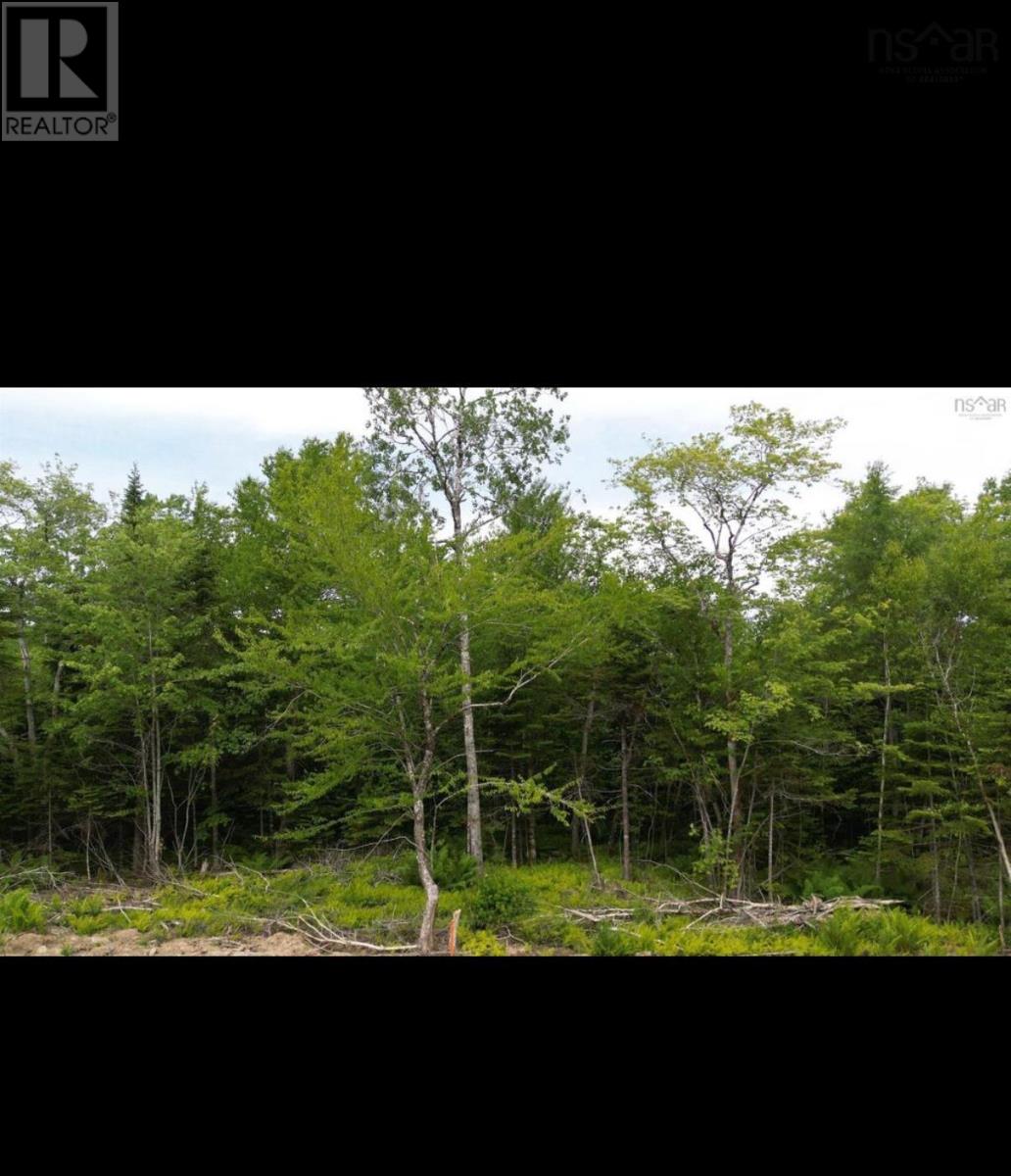 Lot 16 Pearl Lane, Hillsvale, Nova Scotia  B0N 1Z0 - Photo 6 - 202520954