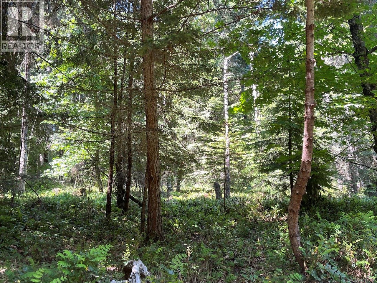 1830 Seymour Rd, Gabriola Island, British Columbia  V0R 1X6 - Photo 7 - 1011371