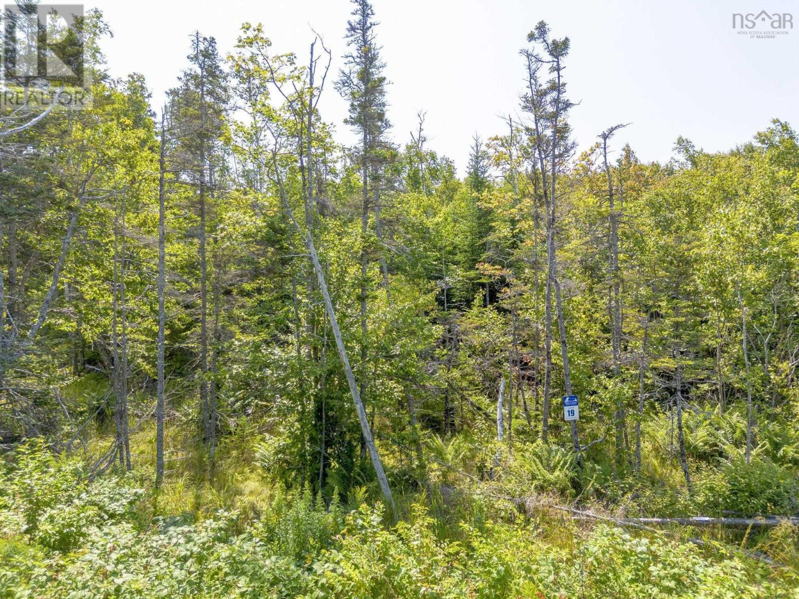 Lot 19 Pelton Mountain Road, Chipman Brook, Nova Scotia  B0P 1J0 - Photo 10 - 202520956