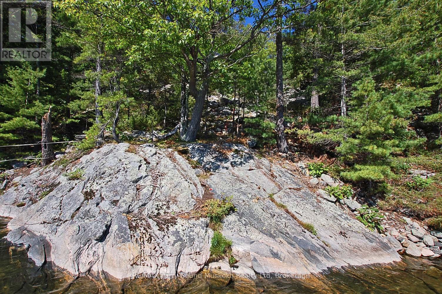 52b Rose Island, Carling, Ontario P0G 1G0 - Photo 7 - X12351460