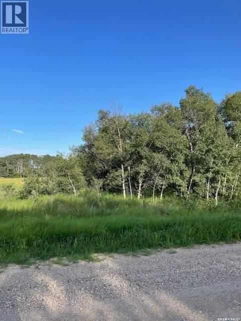 Bare Acreage Lot, Corman Park Rm No. 344, Saskatchewan  S7K 3J8 - Photo 5 - SK015946