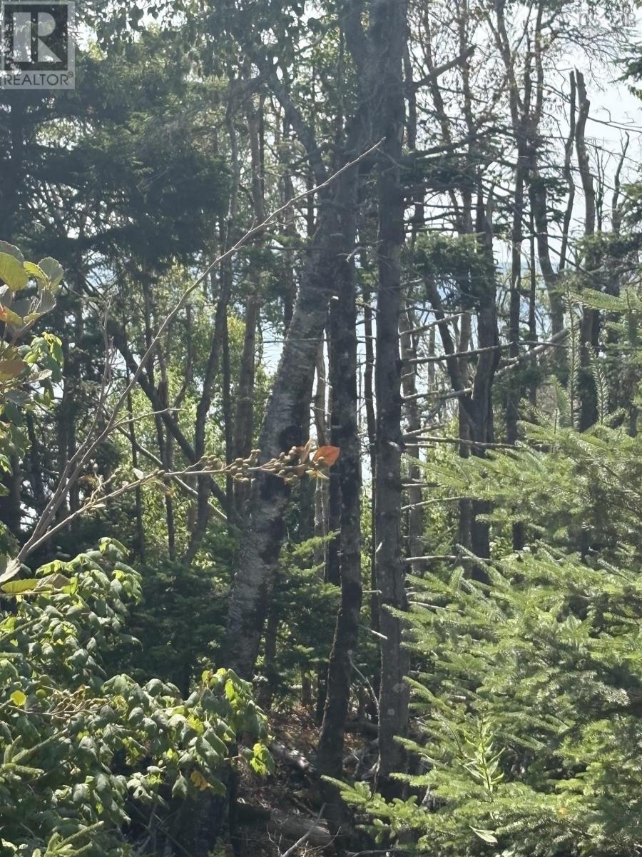 Lot 03-1 West Bay Road, West Bay, Nova Scotia  B0M 1S0 - Photo 3 - 202520692