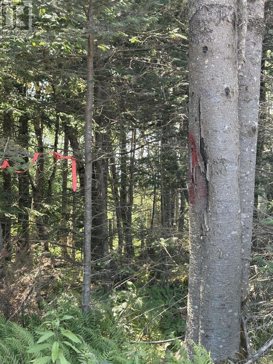 Lot 03-1 West Bay Road, West Bay, Nova Scotia  B0M 1S0 - Photo 2 - 202520692