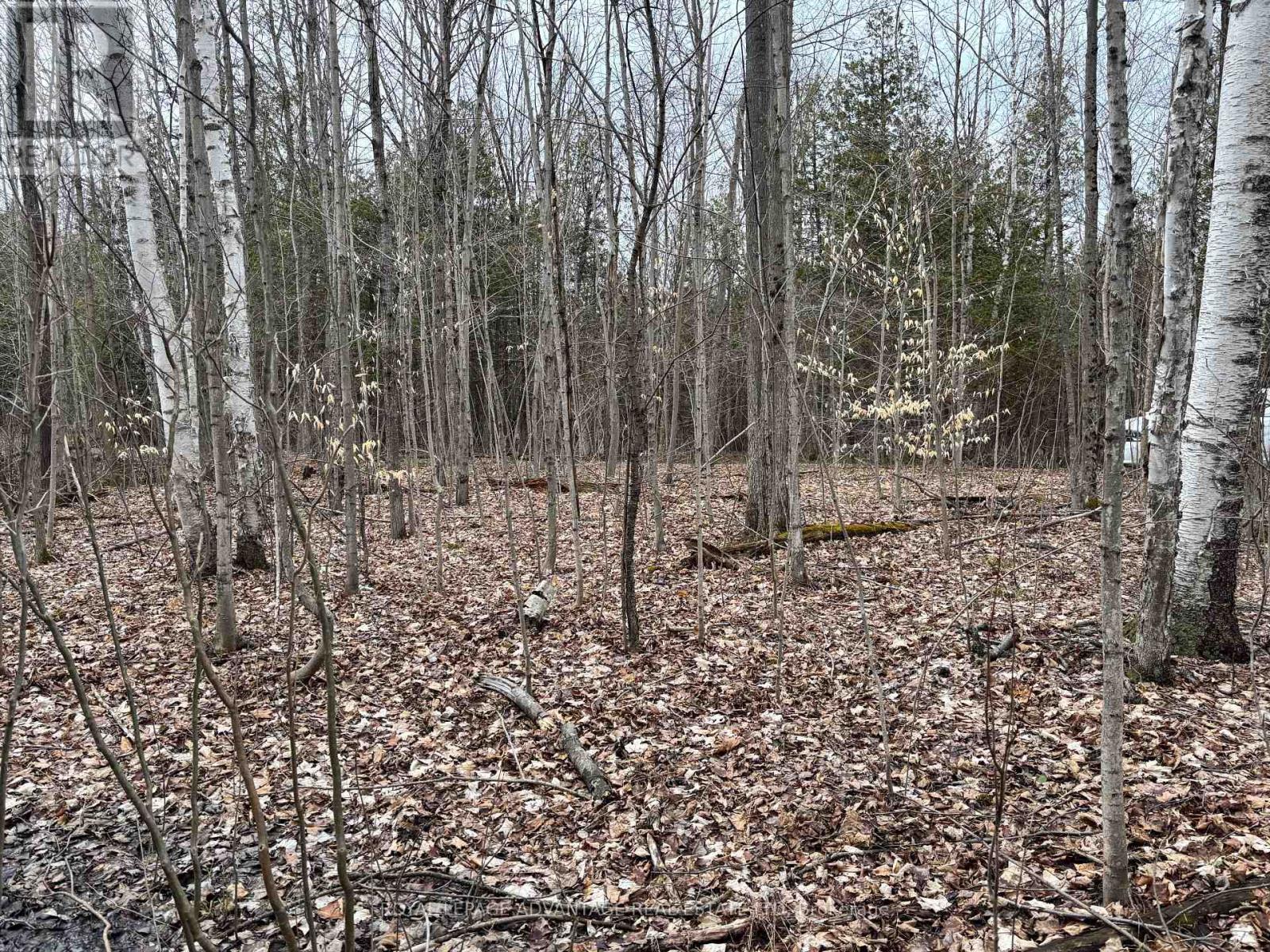 0 Dixon Road, Augusta, Ontario  K6V 5T2 - Photo 3 - X12351656