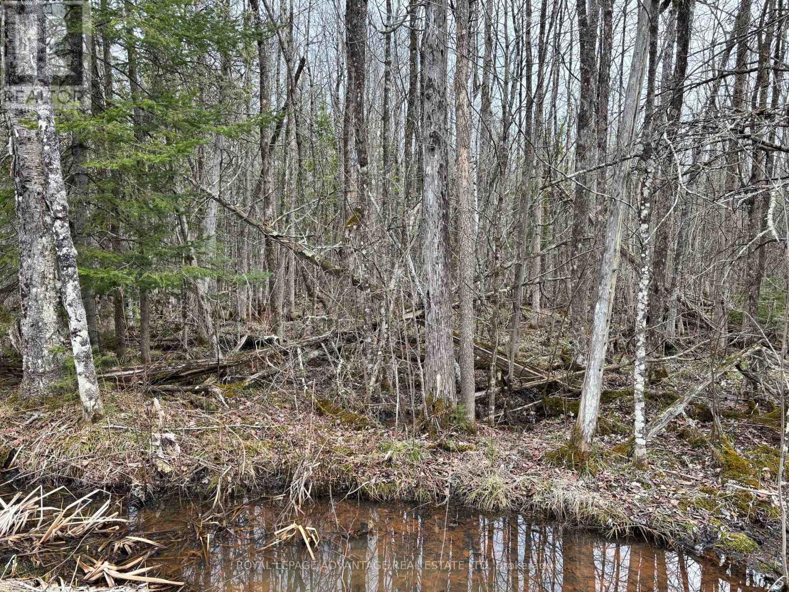0 Dixon Road, Augusta, Ontario  K6V 5T2 - Photo 6 - X12351656