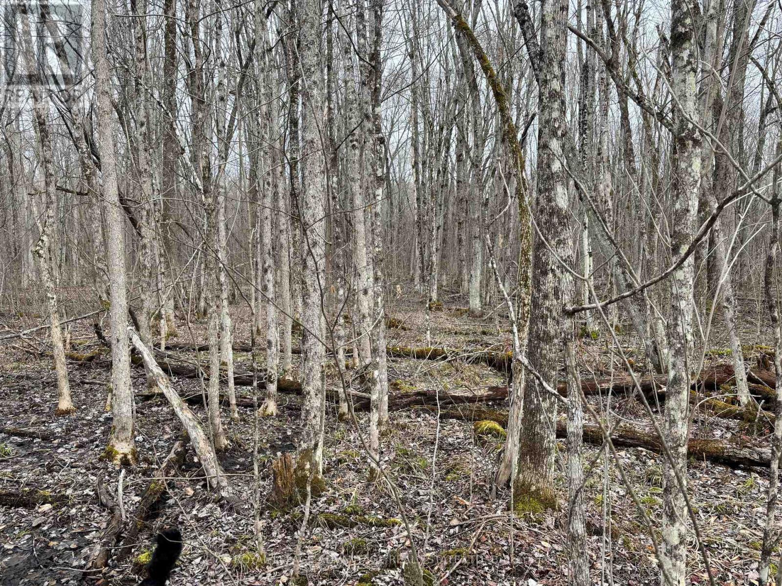 0 Dixon Road, Augusta, Ontario  K6V 5T2 - Photo 7 - X12351656