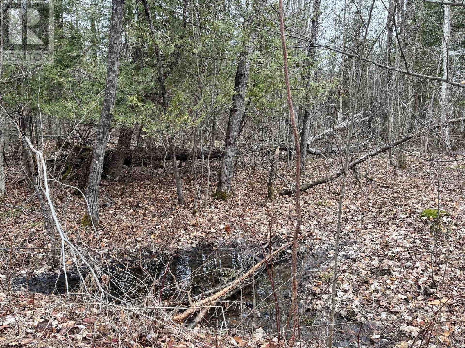0 Dixon Road, Augusta, Ontario  K6V 5T2 - Photo 8 - X12351656
