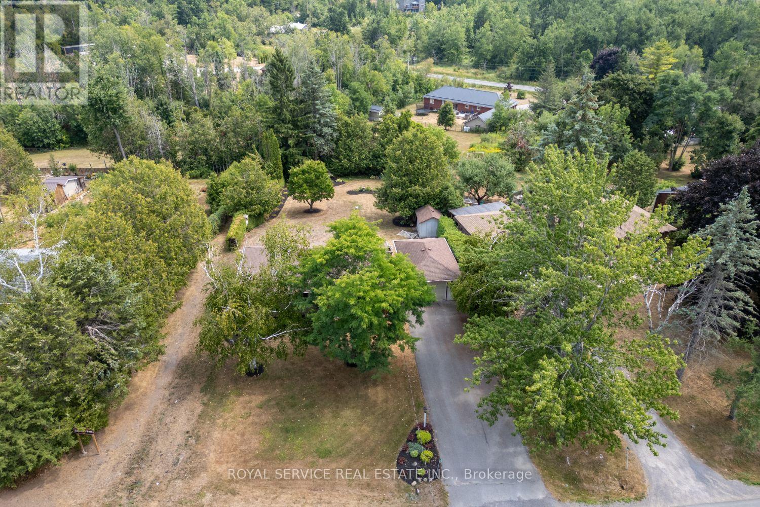 746 Daleview Road, Douro-Dummer, Ontario  K9L 1J5 - Photo 5 - X12351701