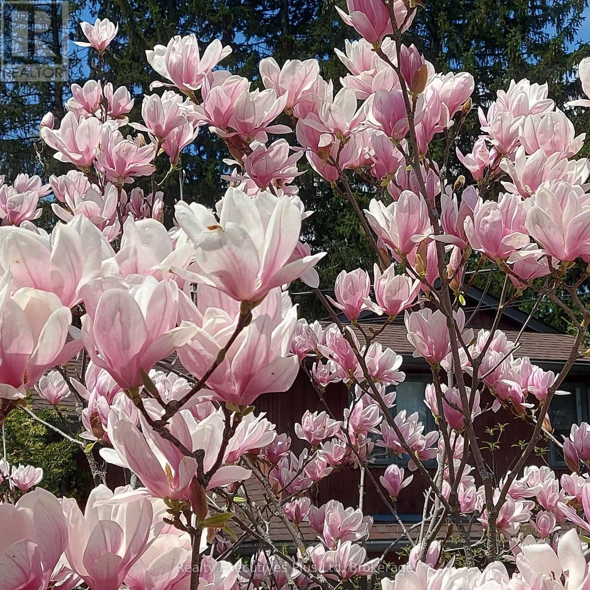 4 Glenhill Place, Guelph, Ontario N1E 4G7 - Photo 48 - X12351790