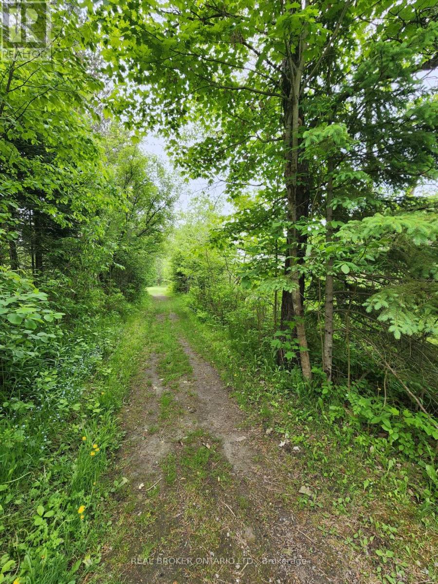 313 Syples Street, Armour, Ontario  P0A 1C0 - Photo 28 - X12351798