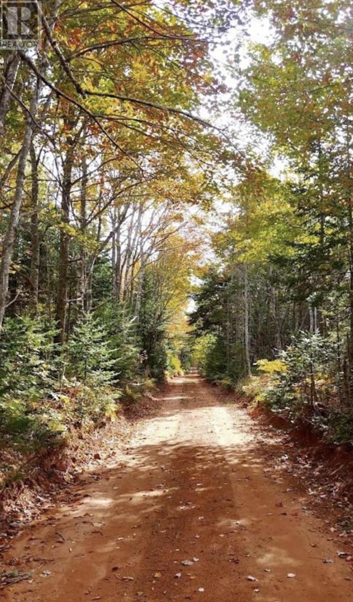 Acreage Settlement Road, Lyndale, Prince Edward Island  C0A 1A0 - Photo 1 - 202520989