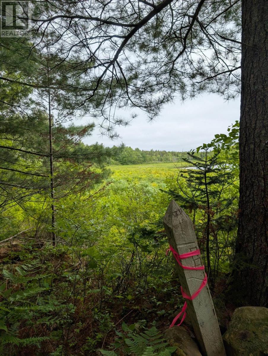 67 Station Road, Kinsac, Nova Scotia  B4G 1C8 - Photo 16 - 202514144