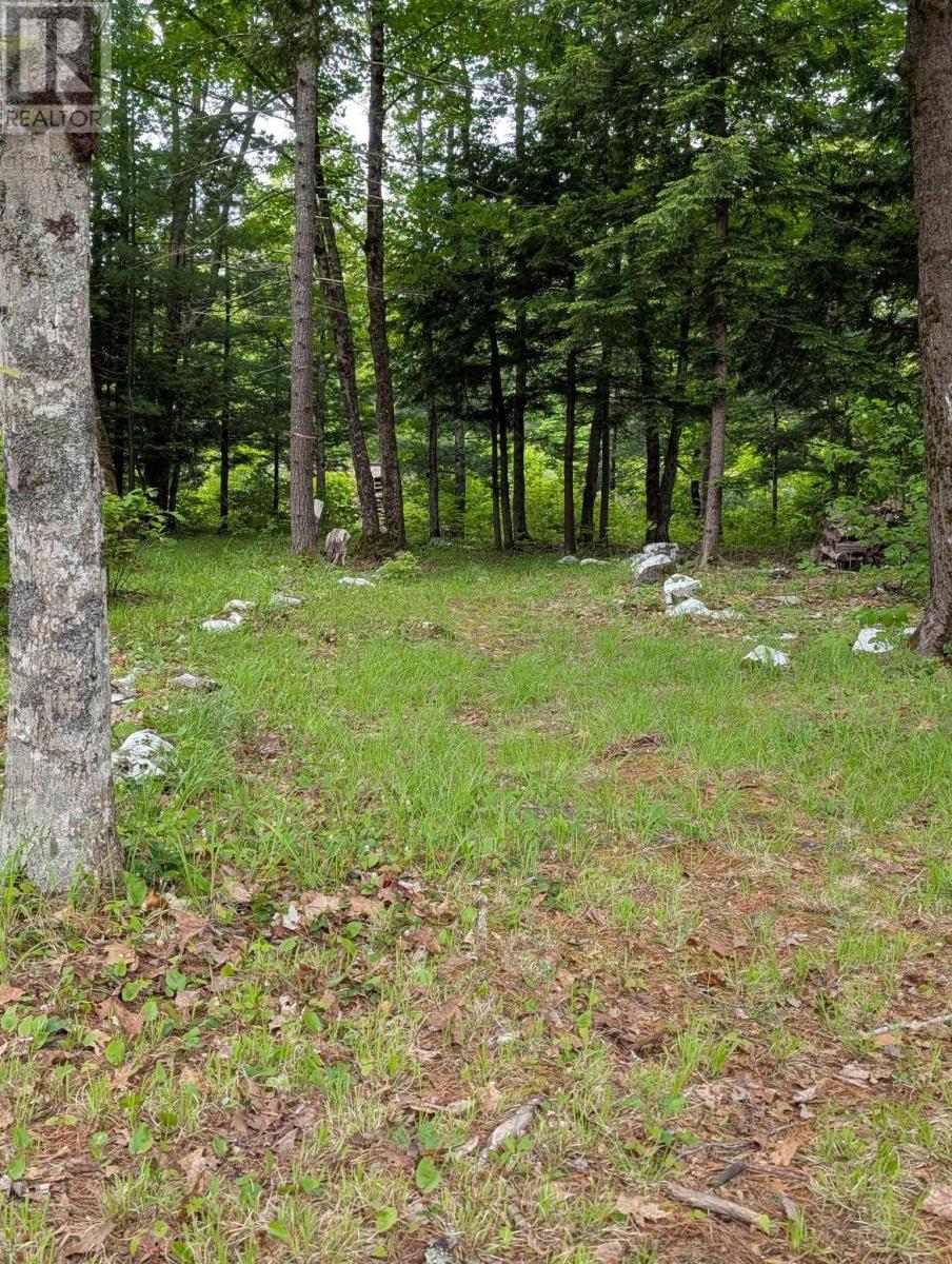 67 Station Road, Kinsac, Nova Scotia  B4G 1C8 - Photo 11 - 202514144