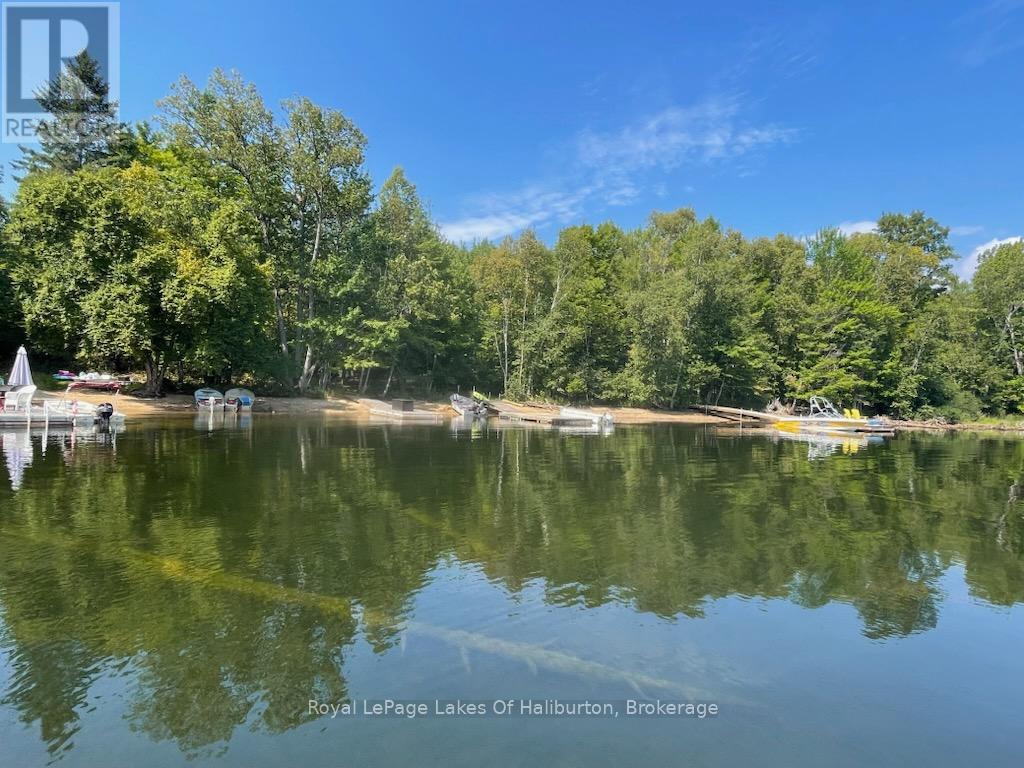 1111 Elk Drive, Dysart Et Al, Ontario  K0M 1S0 - Photo 44 - X12272466