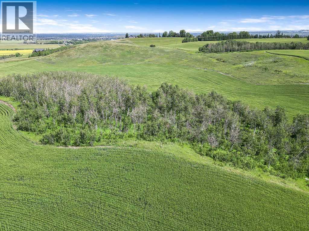 80 Acres Off Of 242 Ave. W, Rural Foothills County, Alberta  T0L 0X0 - Photo 11 - A2243547