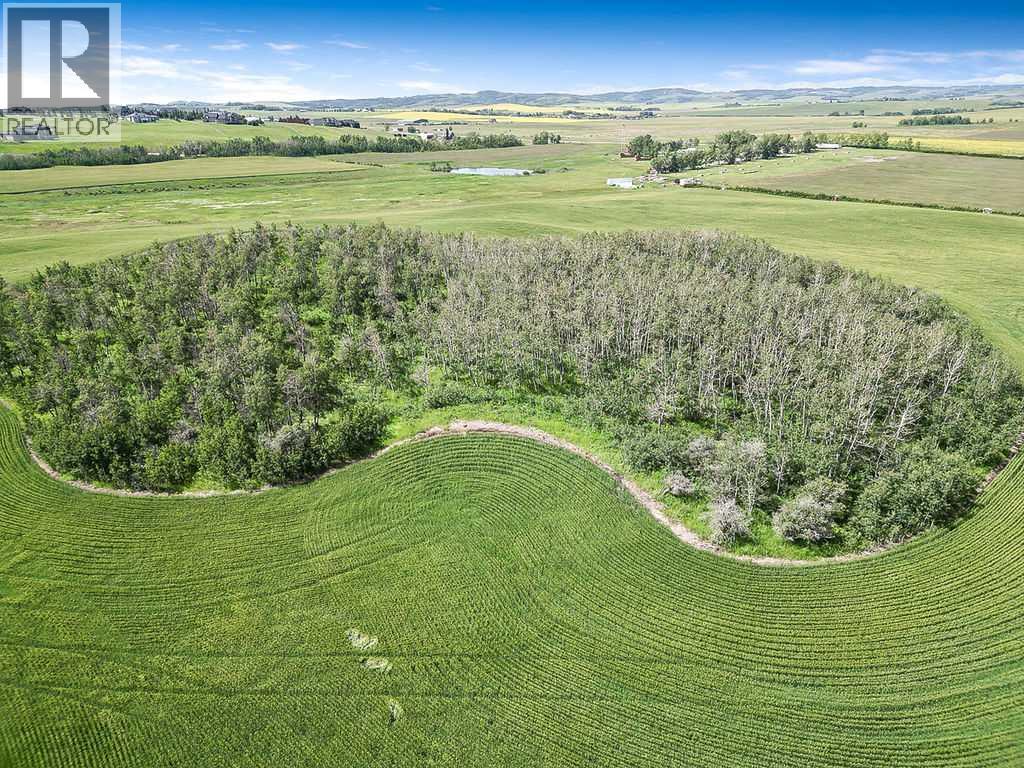 80 Acres Off Of 242 Ave. W, Rural Foothills County, Alberta  T0L 0X0 - Photo 13 - A2243547