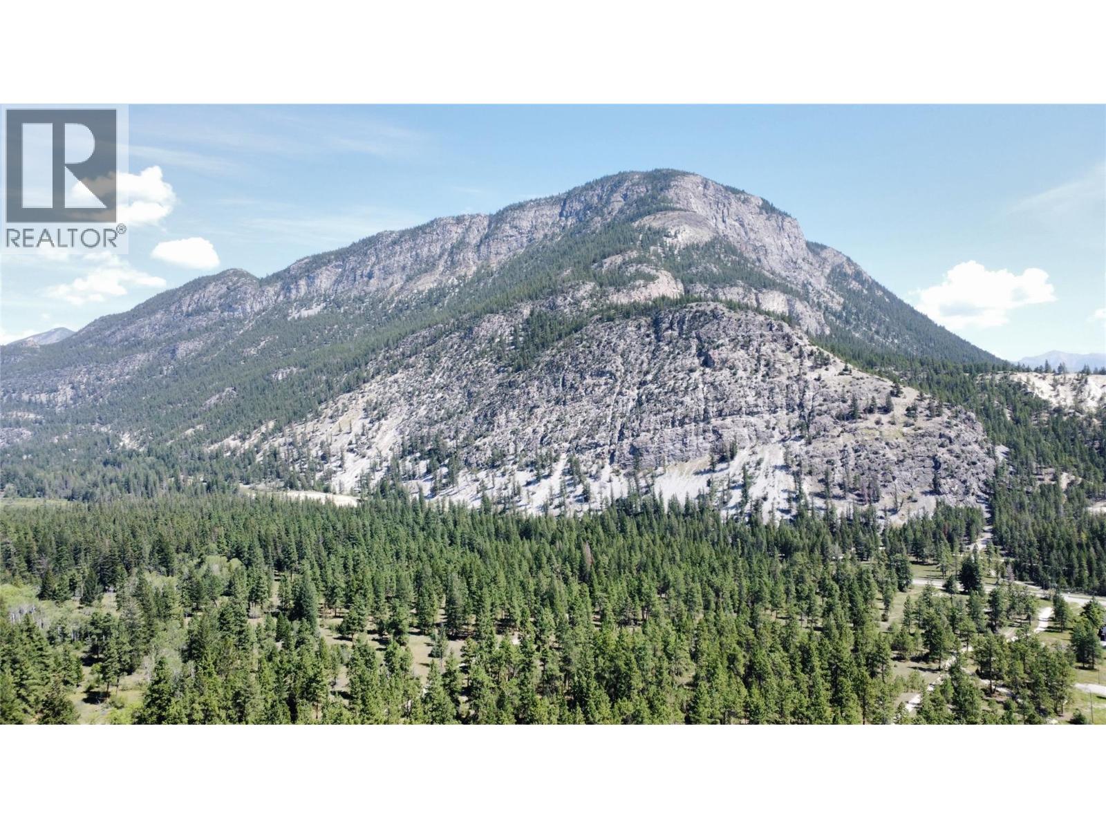 Lot 1 Tamarack Street, Canal Flats, British Columbia  V0B 1B0 - Photo 32 - 10329784
