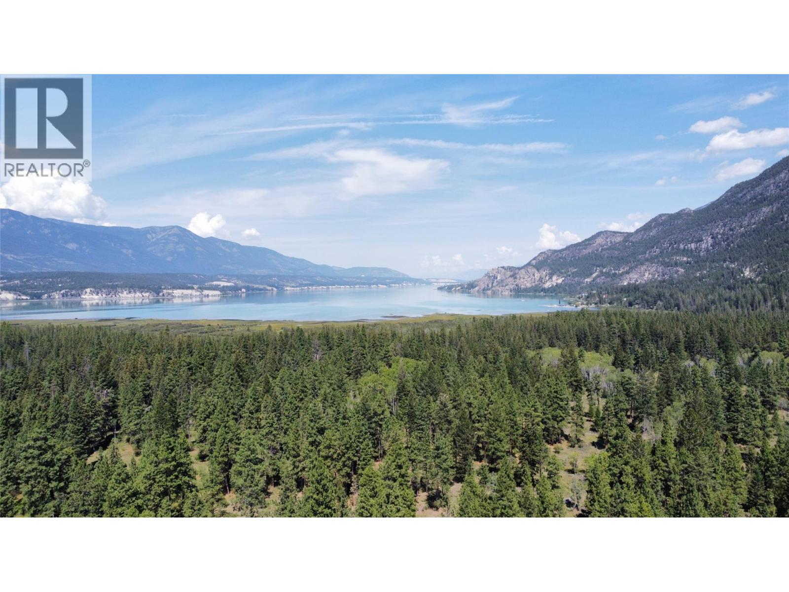 Lot 1 Tamarack Street, Canal Flats, British Columbia  V0B 1B0 - Photo 19 - 10329784