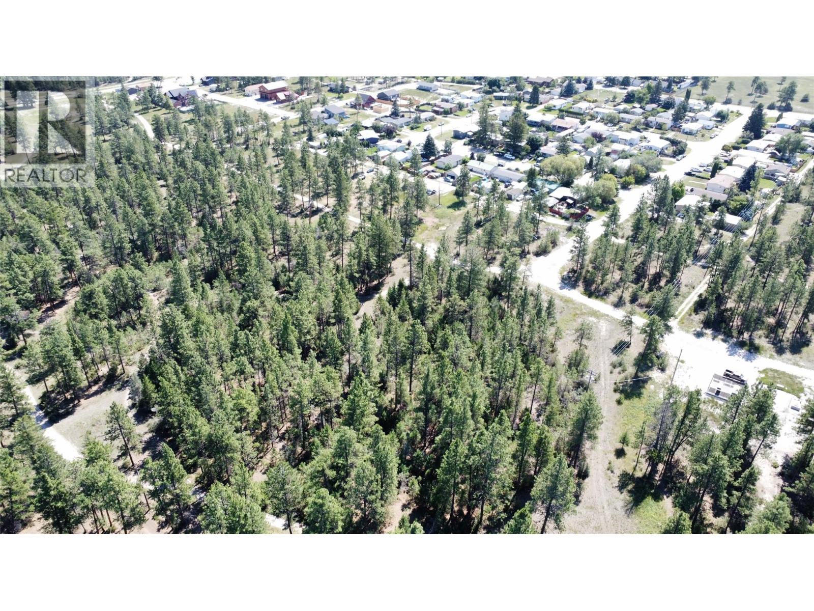 Lot 1 Tamarack Street, Canal Flats, British Columbia  V0B 1B0 - Photo 25 - 10329784